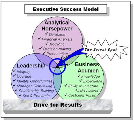 Executive Success Model